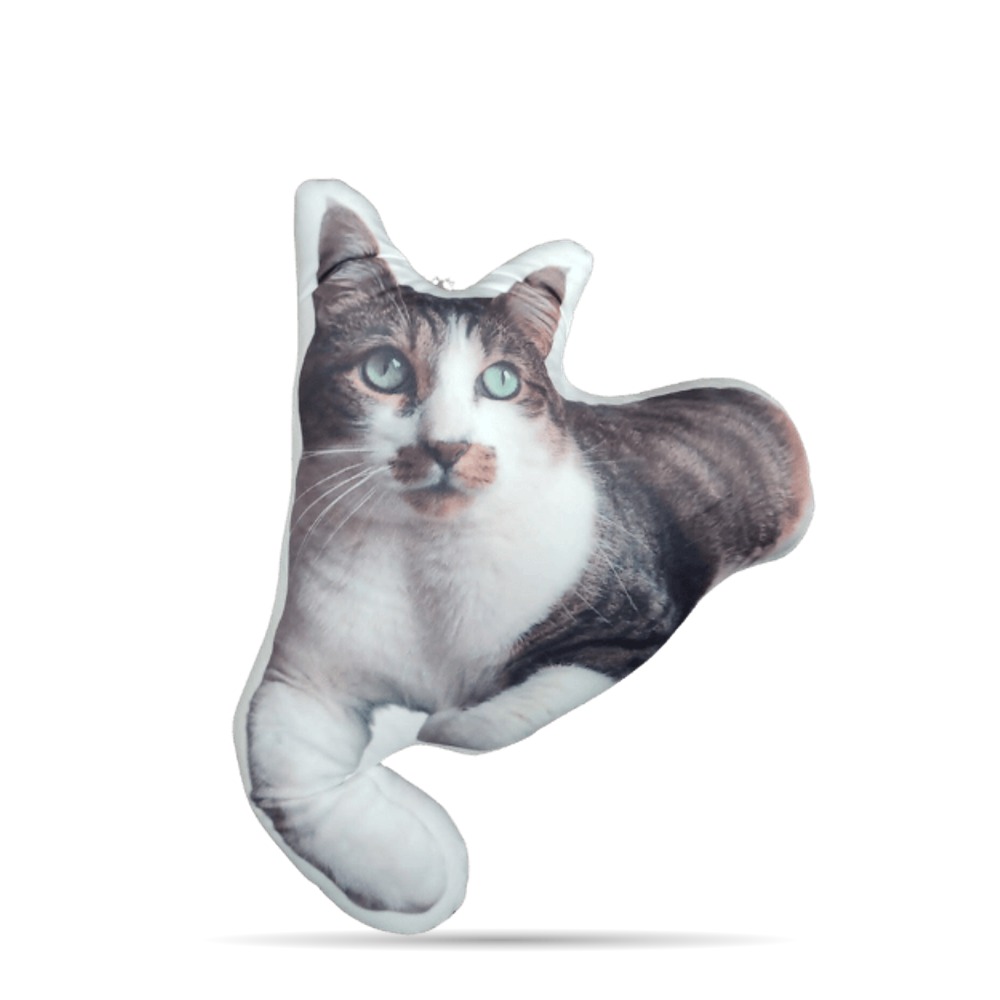Coussin Personnalisé Chat
