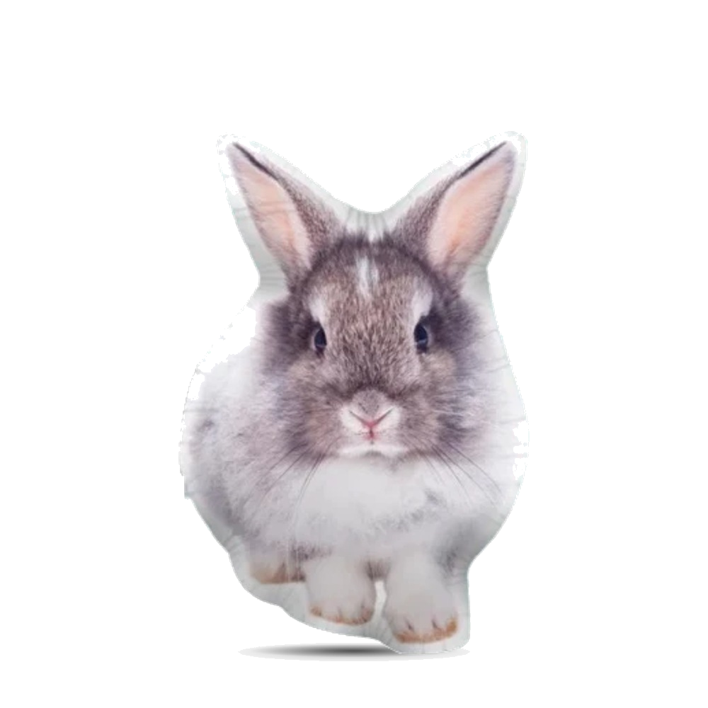 Coussin personnalisé Lapin Nain créé sur mesure à la silhouette