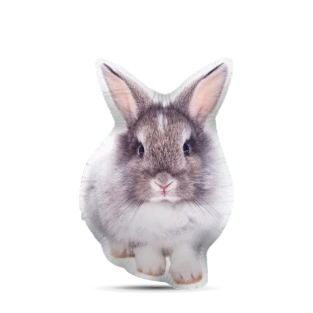 Coussin Personnalisé Lapin