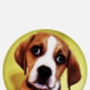 jean.jacques.le.chien