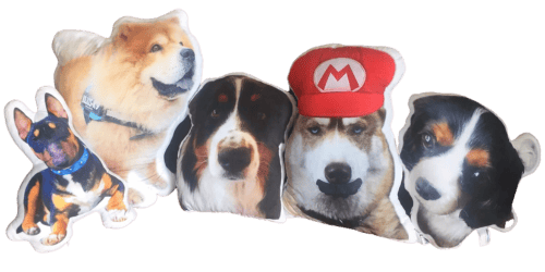 coussin-animaux-photo