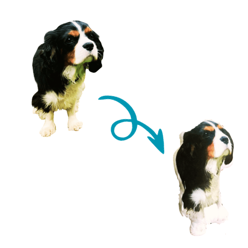 Coussin Personnalisé Chien – Image 3