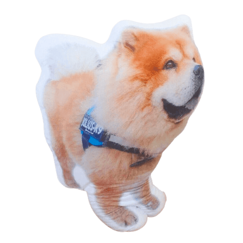 Oreiller personnalisé pour chien et chat - En forme de 3D - Impression  duplex - Cadeaux créatifs - 50,8 cm